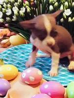 processed/56d7156a-19f4-42c4-82eb-b820ba9a120b/facility/5cfd77a7-9b8e-4e28-8b11-31c381ec6cb0