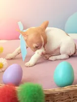 processed/56d7156a-19f4-42c4-82eb-b820ba9a120b/facility/8291f785-f0bd-4bbf-aeeb-296c79aa9356