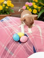 processed/56d7156a-19f4-42c4-82eb-b820ba9a120b/facility/89833e07-6279-4cfa-9f84-c698b1a1f5bf