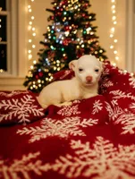 processed/56d7156a-19f4-42c4-82eb-b820ba9a120b/facility/9072f4a5-e644-45ec-8fb6-d973084086c1