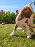 processed/56d7156a-19f4-42c4-82eb-b820ba9a120b/facility/e280a37c-4e2c-4cc9-98cd-3d4852e84679