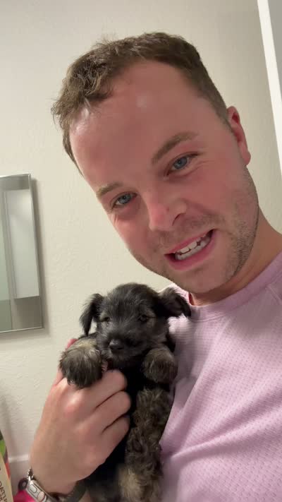 Female #2, a female Miniature Schnauzer for sale in Austin, TX – 1 of 1