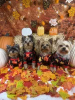 processed/56ea84ae-917a-4e6e-9db7-6b6d826f5048/facility/12a9728e-0a19-4473-a188-b7b2636552af