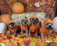 processed/56ea84ae-917a-4e6e-9db7-6b6d826f5048/facility/1b084add-b002-4eee-85b6-a2c628155359