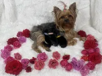 processed/56ea84ae-917a-4e6e-9db7-6b6d826f5048/facility/2f6b2340-f8f6-4047-a4a8-4e0b15c9a36d