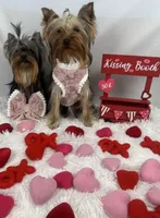 processed/56ea84ae-917a-4e6e-9db7-6b6d826f5048/facility/71c87e20-8119-4b93-bf6c-9d0d61454029