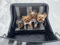 processed/56ea84ae-917a-4e6e-9db7-6b6d826f5048/facility/98285784-218a-41f8-922c-4e70119987e8