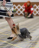 processed/56ea84ae-917a-4e6e-9db7-6b6d826f5048/facility/edd76dff-4b58-4a7a-970f-b484570a35d4