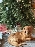 processed/56f2c71c-8518-4ab4-850c-8afe882377c9/facility/07e24961-2737-4ed2-8d86-4532ef47086b