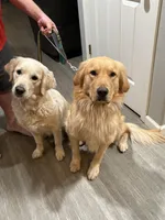 processed/56f2c71c-8518-4ab4-850c-8afe882377c9/facility/61d0d81e-8d31-404e-909e-9b73603a9ed4