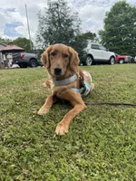 processed/56f2c71c-8518-4ab4-850c-8afe882377c9/facility/73ca92b5-1b1c-4f5b-b189-40b739cb3aca