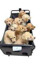 processed/56f2c71c-8518-4ab4-850c-8afe882377c9/facility/8a1f6049-802a-4611-bf5b-c59bd991439c