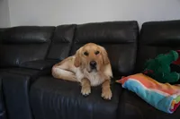 processed/56f2c71c-8518-4ab4-850c-8afe882377c9/facility/b4e9706f-5f0f-47c6-90fb-7f5a5519e58d