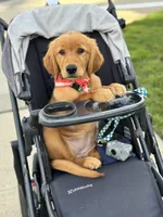 processed/56f2c71c-8518-4ab4-850c-8afe882377c9/facility/cb83c21c-26b1-48c0-bd5a-fa73deae581d