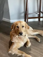 processed/56f2c71c-8518-4ab4-850c-8afe882377c9/facility/ce48c4af-9f9c-49e0-b722-d06d1fdc6927