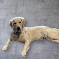 processed/56f2c71c-8518-4ab4-850c-8afe882377c9/facility/d54541c9-c60b-4221-a6c1-c048d3818266