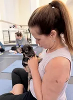Carmen, a female French Bulldog for sale in Pittsburgh, PA – 6 of 7