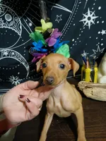 processed/56fbe3d9-4a9c-4604-9a7a-7e1064a5591c/listing/0236e929-bdd8-47b3-a463-f395be7f0149/8275f87d-5cd9-4303-8018-8a59f391ee00