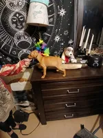 processed/56fbe3d9-4a9c-4604-9a7a-7e1064a5591c/listing/0236e929-bdd8-47b3-a463-f395be7f0149/91361923-4038-4bf0-9254-07991f3b1ae5