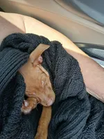 processed/56fbe3d9-4a9c-4604-9a7a-7e1064a5591c/listing/4247eeeb-6da9-413a-b842-d0e0d8725f19/0e825cd2-d17c-4a14-b1ff-21b331bdd939