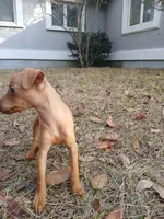 processed/56fbe3d9-4a9c-4604-9a7a-7e1064a5591c/listing/4247eeeb-6da9-413a-b842-d0e0d8725f19/2aa60f45-70fe-41ad-a6fd-3549030f0764