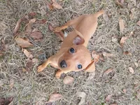 processed/56fbe3d9-4a9c-4604-9a7a-7e1064a5591c/listing/4247eeeb-6da9-413a-b842-d0e0d8725f19/5bcc747f-80ed-4f1a-876d-f1f0dd21e62e