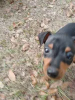 processed/56fbe3d9-4a9c-4604-9a7a-7e1064a5591c/listing/4a6f7272-b763-493b-bef7-2e0a750e502b/a11f401a-c81d-41e7-b271-bbfa4db19edc