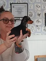 processed/56fbe3d9-4a9c-4604-9a7a-7e1064a5591c/listing/4a6f7272-b763-493b-bef7-2e0a750e502b/a79778eb-b48b-4256-bae4-a0f1e7e08b0d