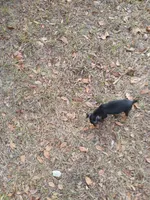 processed/56fbe3d9-4a9c-4604-9a7a-7e1064a5591c/listing/4a6f7272-b763-493b-bef7-2e0a750e502b/d9d79979-4354-4118-959a-7138399ed0b4