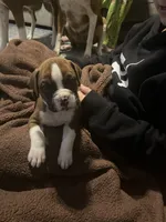 processed/56fdd5e8-8824-4ba0-a672-b7f1086df10f/listing/eacde699-bf67-436c-bd8a-2e9b6544fd12/429f1283-5494-47eb-94ee-e2fee20d45a5