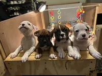 processed/56fdd5e8-8824-4ba0-a672-b7f1086df10f/listing/eacde699-bf67-436c-bd8a-2e9b6544fd12/581d77cd-0330-449b-8944-01c75af25a20