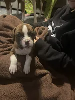 processed/56fdd5e8-8824-4ba0-a672-b7f1086df10f/listing/eacde699-bf67-436c-bd8a-2e9b6544fd12/690e2836-1aa9-427a-ab76-43f82ca7ae18