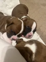 processed/56fdd5e8-8824-4ba0-a672-b7f1086df10f/listing/eacde699-bf67-436c-bd8a-2e9b6544fd12/9db46751-9936-4112-bb52-f6a8fa79411f