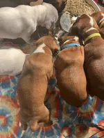 processed/56fdd5e8-8824-4ba0-a672-b7f1086df10f/listing/eacde699-bf67-436c-bd8a-2e9b6544fd12/ec49f766-e183-45b7-b446-db04c25a4b40