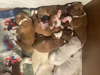 processed/56fdd5e8-8824-4ba0-a672-b7f1086df10f/listing/eacde699-bf67-436c-bd8a-2e9b6544fd12/ef24810a-5187-4244-9478-74b6ad526051