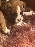 processed/56fdd5e8-8824-4ba0-a672-b7f1086df10f/listing/eacde699-bf67-436c-bd8a-2e9b6544fd12/fb2b8d0e-a1e9-49f2-a636-f603d735c77b