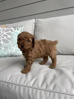 processed/57097e6d-da54-4baa-b66e-a0d8d0dac32a/listing/1e04f19c-a066-4f5a-8128-e07e14b1c7e7/9ba4b742-7a98-4da5-8e29-cba85408e329