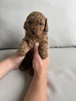 processed/57097e6d-da54-4baa-b66e-a0d8d0dac32a/listing/1e04f19c-a066-4f5a-8128-e07e14b1c7e7/d4db6b9d-7b2b-4e16-8074-daf9fc2f5fd1