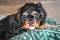 processed/570b114f-4f9a-445d-8d9e-89f5d2b148a7/facility/114236c7-6c77-4ae2-a344-9c0efd6c66af