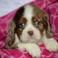 processed/570b114f-4f9a-445d-8d9e-89f5d2b148a7/facility/420e3dda-aa3d-48ad-a3a7-87ddb0885186