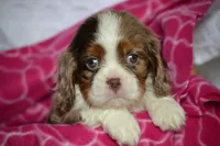 processed/570b114f-4f9a-445d-8d9e-89f5d2b148a7/facility/420e3dda-aa3d-48ad-a3a7-87ddb0885186