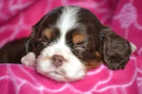 processed/570b114f-4f9a-445d-8d9e-89f5d2b148a7/facility/59348f62-0bdd-49d5-8853-2a27df58f487