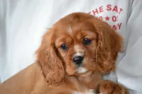 processed/570b114f-4f9a-445d-8d9e-89f5d2b148a7/facility/664b13b7-e686-4f00-b404-d4c1ede7b340