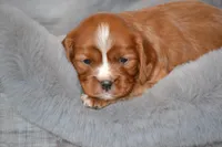 processed/570b114f-4f9a-445d-8d9e-89f5d2b148a7/facility/9c9dc86e-b98d-4a35-9acd-394eae937da5