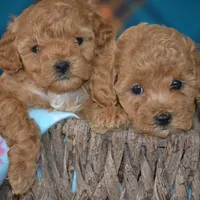 processed/570b114f-4f9a-445d-8d9e-89f5d2b148a7/facility/9d28cda5-3210-4f47-a04a-09587839a940