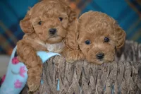 processed/570b114f-4f9a-445d-8d9e-89f5d2b148a7/facility/9d28cda5-3210-4f47-a04a-09587839a940