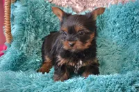 processed/570b114f-4f9a-445d-8d9e-89f5d2b148a7/facility/c45efb63-9944-4e41-8ed2-0a7d7851b37d