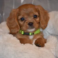 processed/570b114f-4f9a-445d-8d9e-89f5d2b148a7/facility/d85a1722-bed3-4817-97ac-f2774f753954