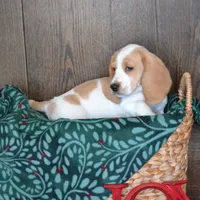 processed/570b114f-4f9a-445d-8d9e-89f5d2b148a7/facility/e3b99015-2d9e-4985-80a2-4e744328ef5f