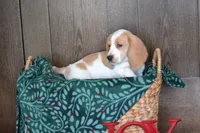 processed/570b114f-4f9a-445d-8d9e-89f5d2b148a7/facility/e3b99015-2d9e-4985-80a2-4e744328ef5f